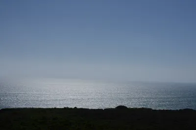 DSC_6900 (Large).JPG